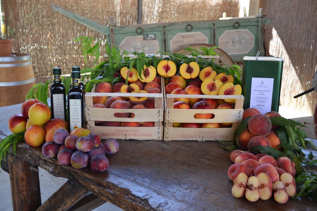 Agriturismo Montecorona อุมแบร์ทิเดอ ภายนอก รูปภาพ